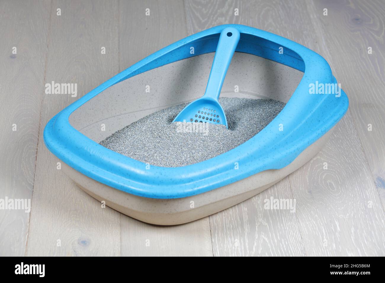 Cat litter tray and scoop on a wood floor Stock Photo