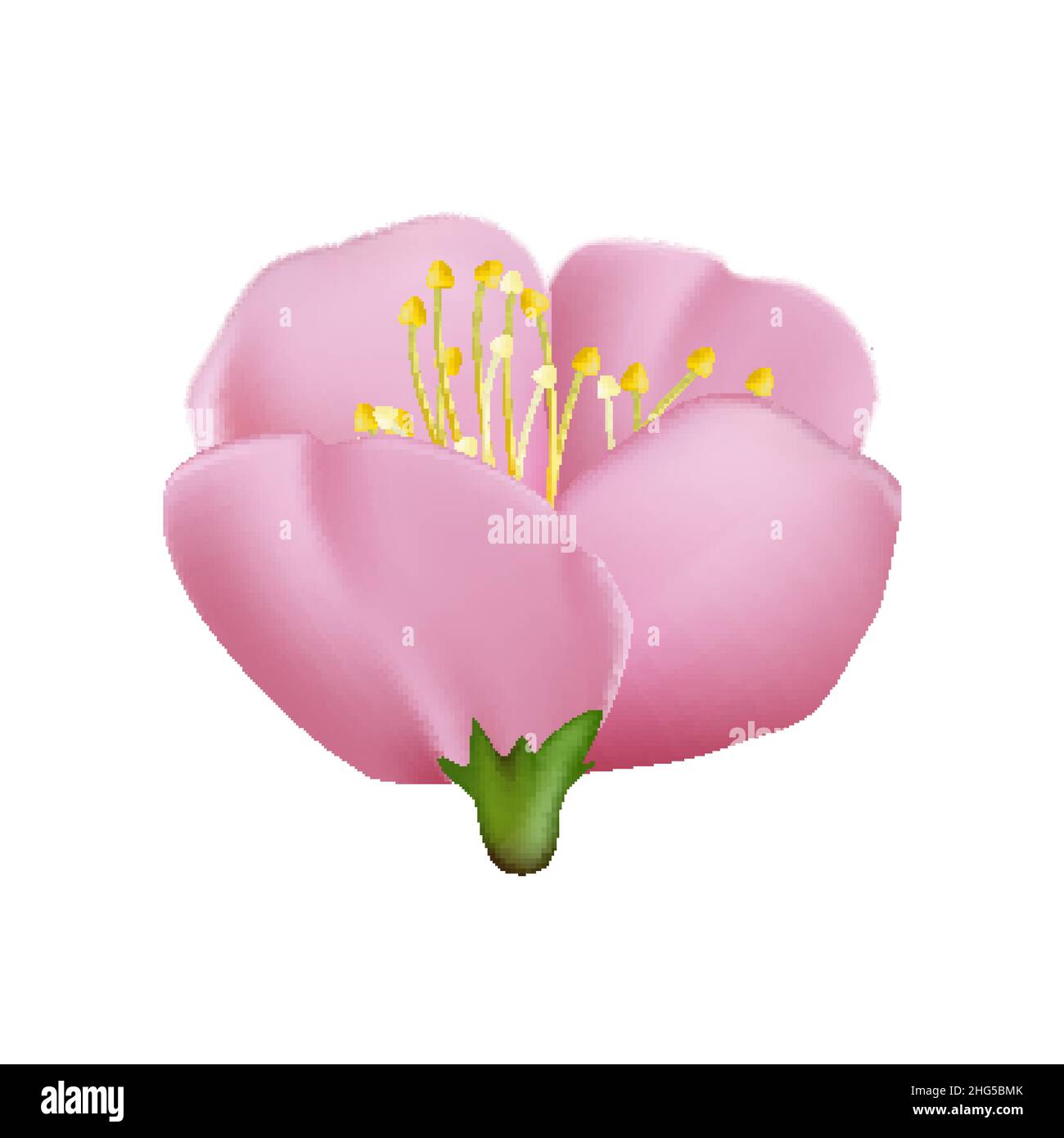 Tokyo spring tree Stock Vector Images - Alamy