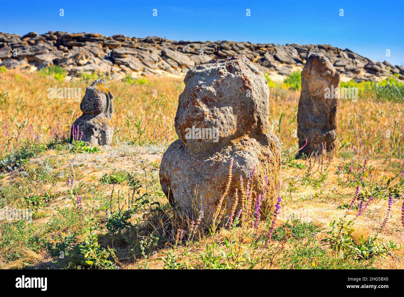 View of the ancient kurgan stelae, stone idols, in the steppe in southern Ukraine, close-up on a sunny summer day Stock Photo