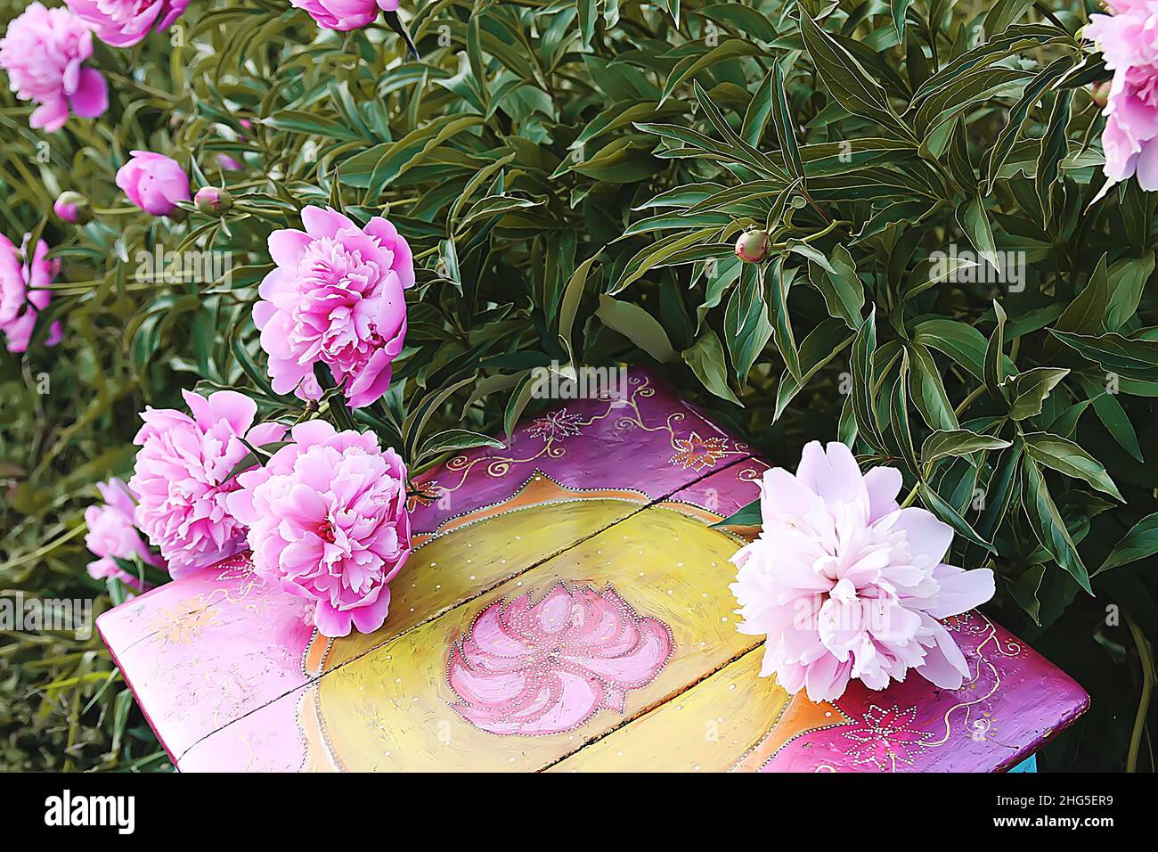 Old furniture restauration. Handmade old wooden stool painted with acrylic paints in summer garden in countryside with blooming beautiful pink peony f Stock Photo