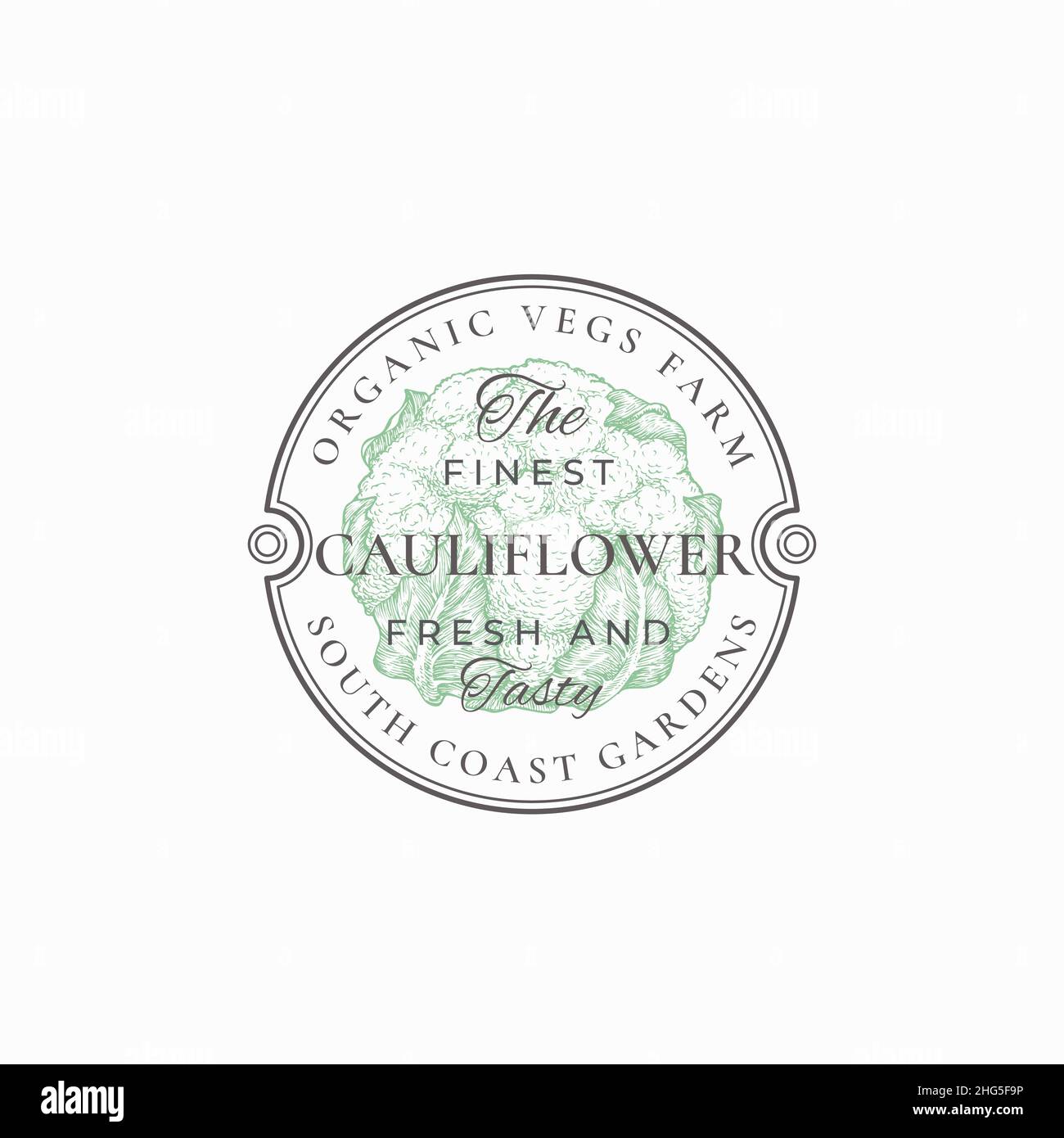 Cauliflower Frame Badge or Logo Template. Hand Drawn Vegetable Sketch ...