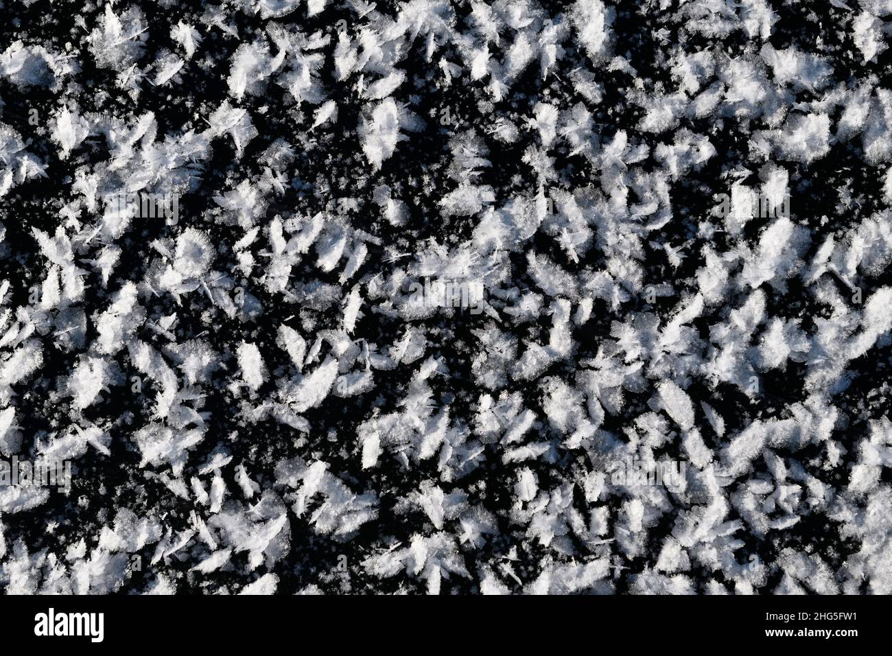 flakes of hoarfrost on black ice of Kempenfelt Bay on Lake Simcoe first ice of winter Barrie Ontario Stock Photo