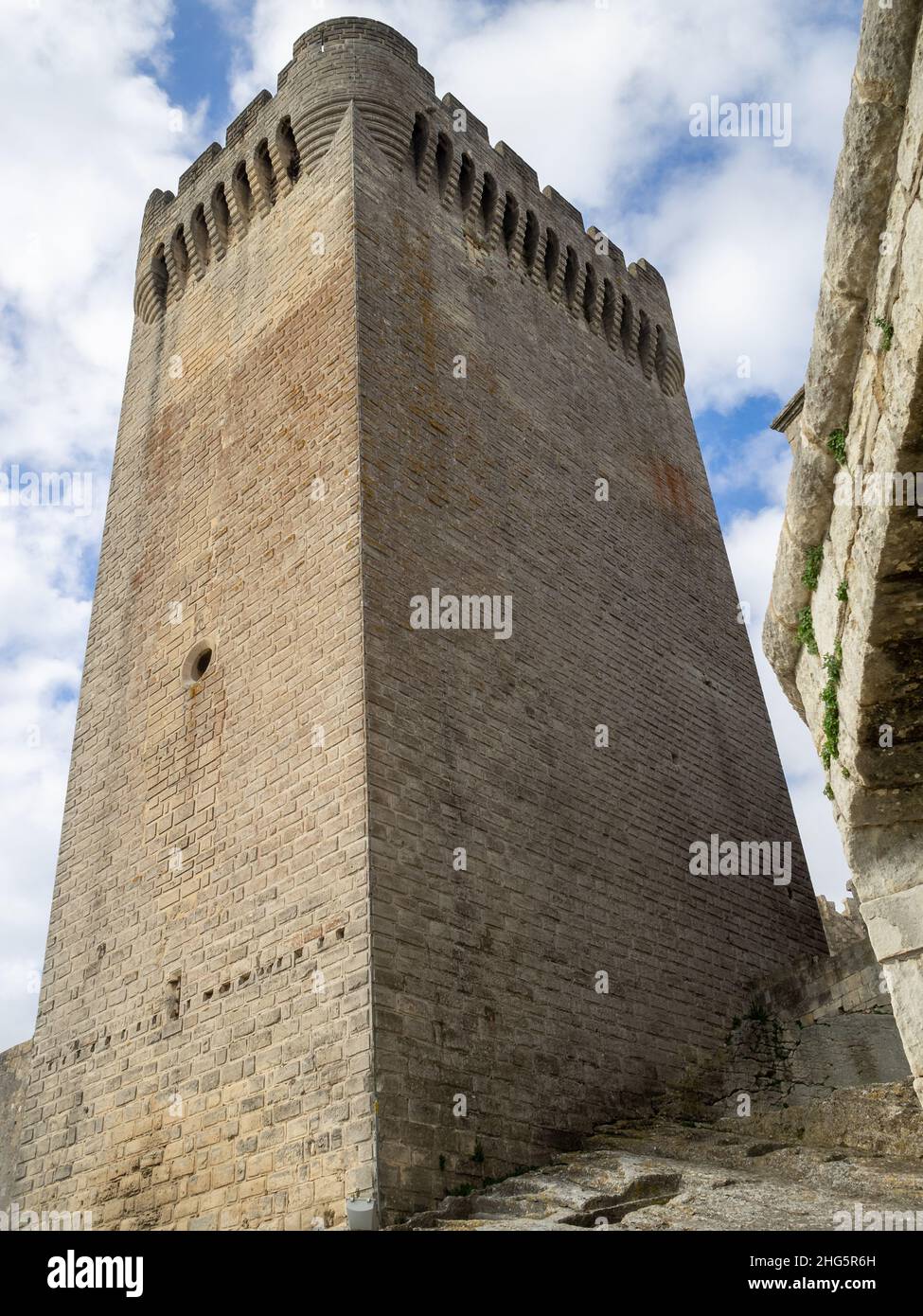 Pons de l'Orme tower, Montmajour Abbey, Arles Stock Photo