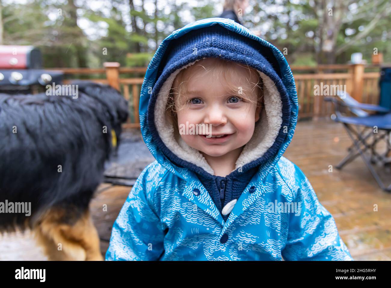 Head and shoulders view of a happy young boy smiling. Three year old