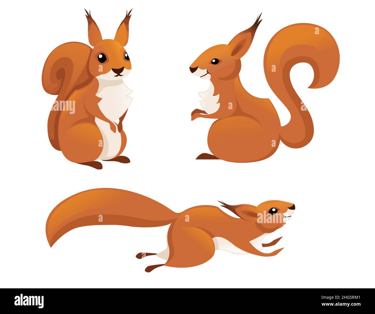 Cute little squirrel jumping down. Side view. Cartoon animal character