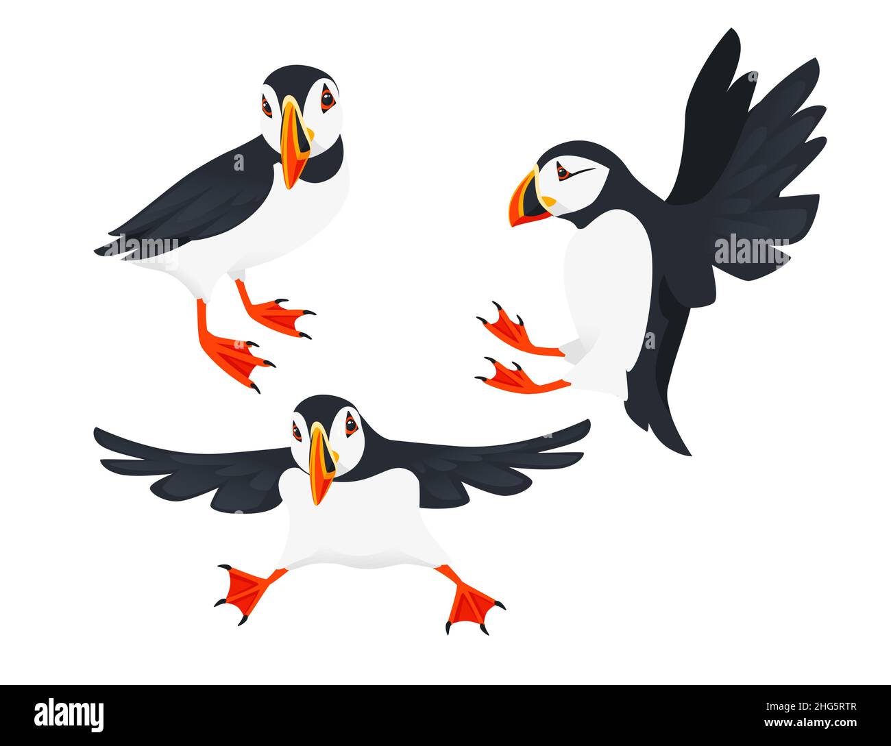 Set of Atlantic puffin bird cartoon animal design flat vector ...