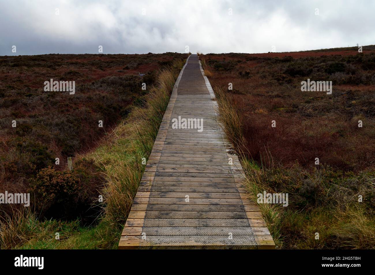 Cuilcagh Boardwalk Trail,Cuilcagh Legnabrocky Trail,hiking,hike,hikes,fermanagh,northern ireland,Cuilcagh Mountain Park,Marble Arch Caves Global Geopa Stock Photo