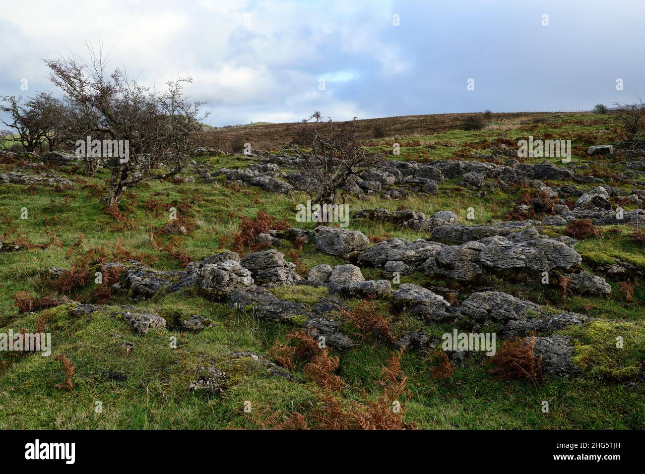 rugged scenery, rocky ground,Cuilcagh Boardwalk Trail,Cuilcagh Legnabrocky Trail,hiking,hike,hikes,fermanagh,northern ireland,Cuilcagh Mountain Park,M Stock Photo