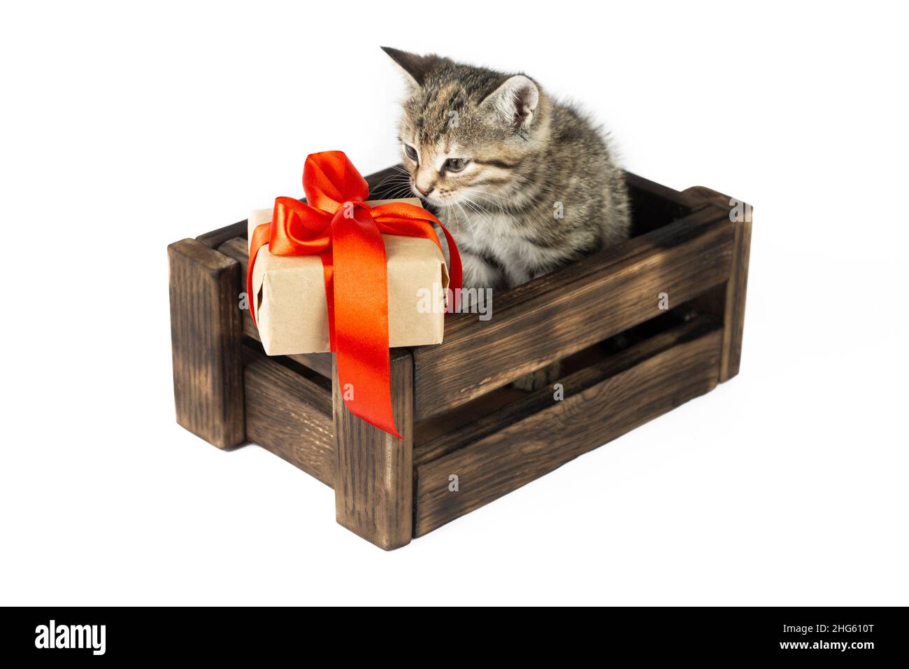 Little cat in the wooden box with a gift box on a white background. Stock Photo