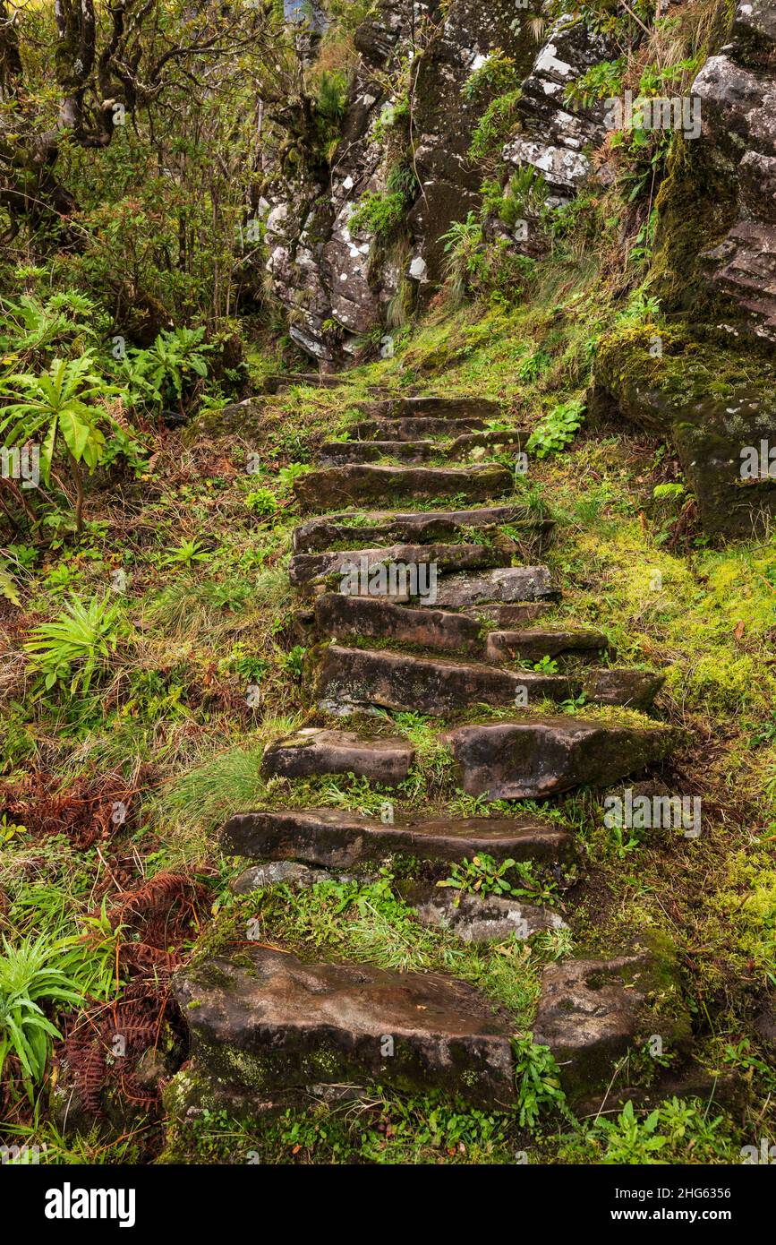 Stone steps at a path section of the “Vereda da Encumeada” hiking trail ...