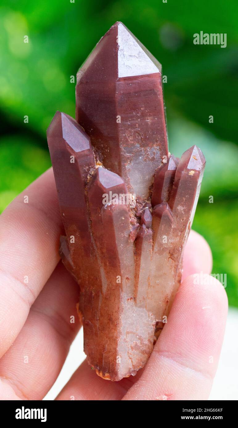 red quartz mineral specimen stone rock geology gem crystal Stock Photo Alamy