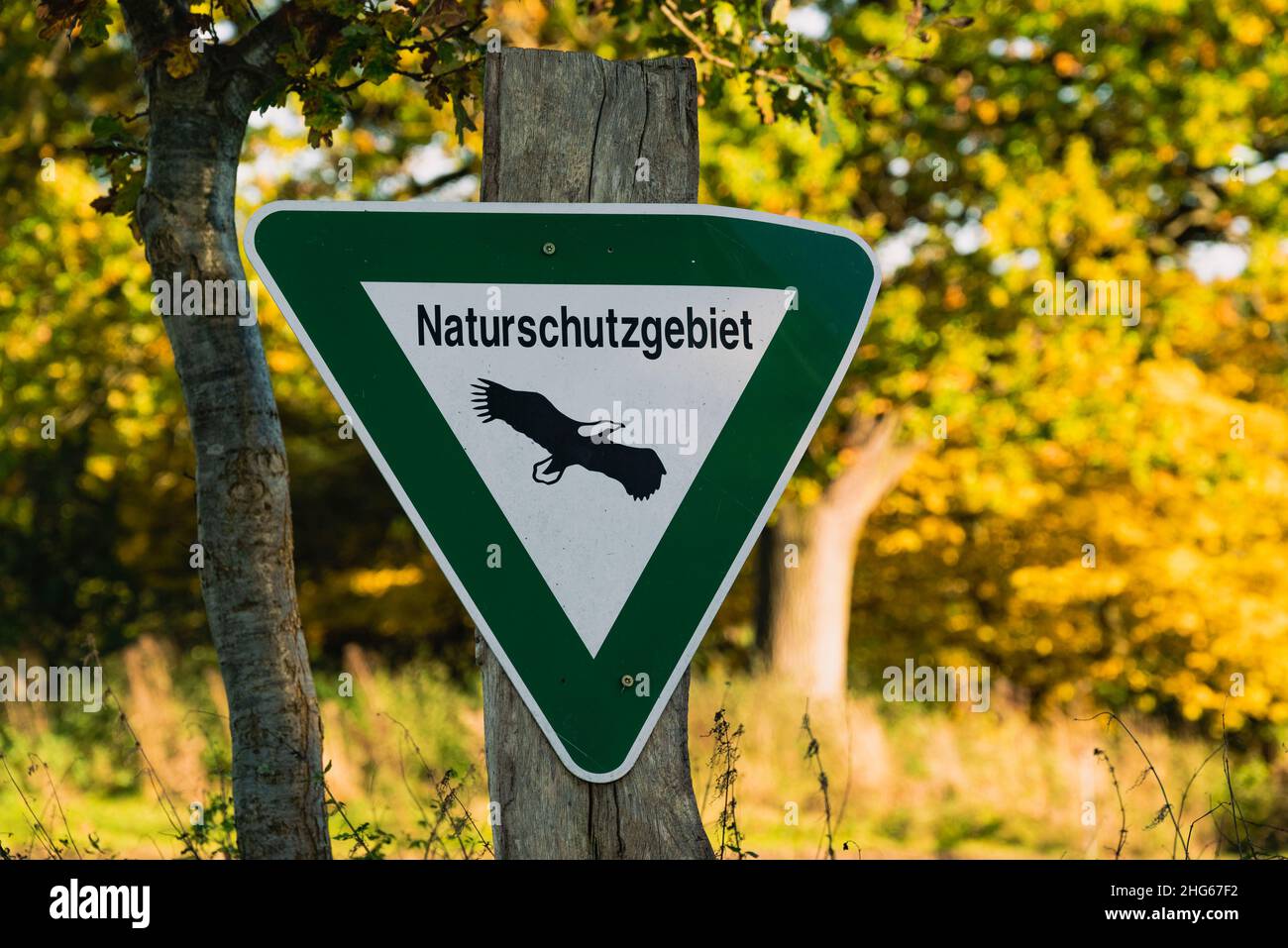 Sign for a nature reserve (“Naturschutzgebiet”) in the Reinhardswald, Hesse, Germany Stock Photo