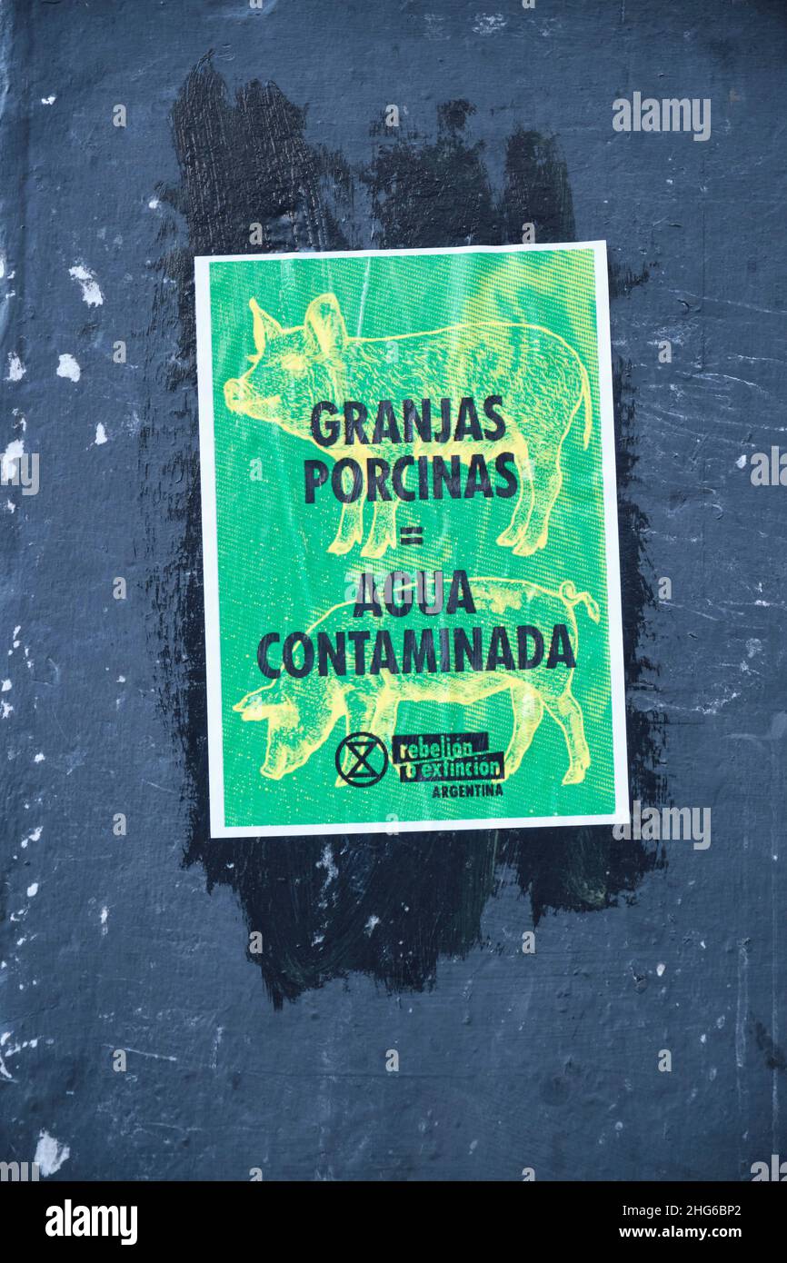 CABA, Buenos Aires, Argentina; Sept 24, 2021: Global Climate Strike, protest poster against the swine agreement with China in Argentina. Text: Pig far Stock Photo