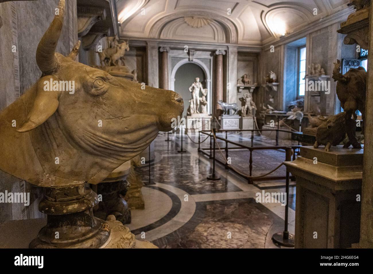 Animals hall vatican museum vatican hires stock photography and images
