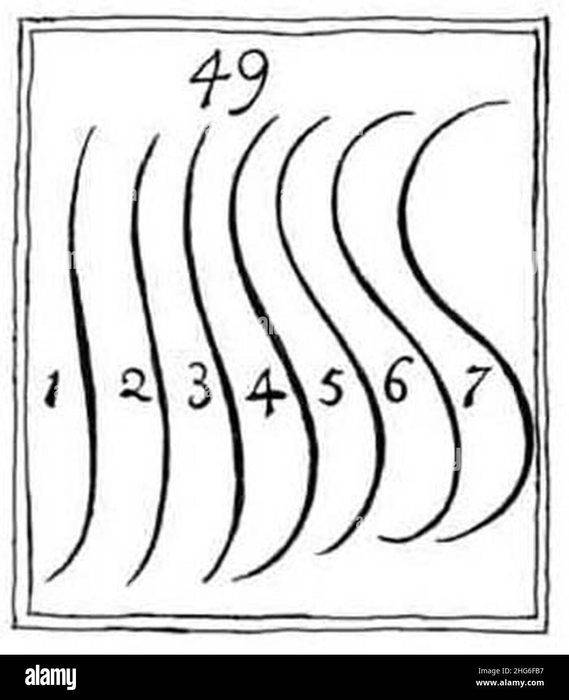 Serpentine lines from William Hogarth's The Analysis of Beauty Stock