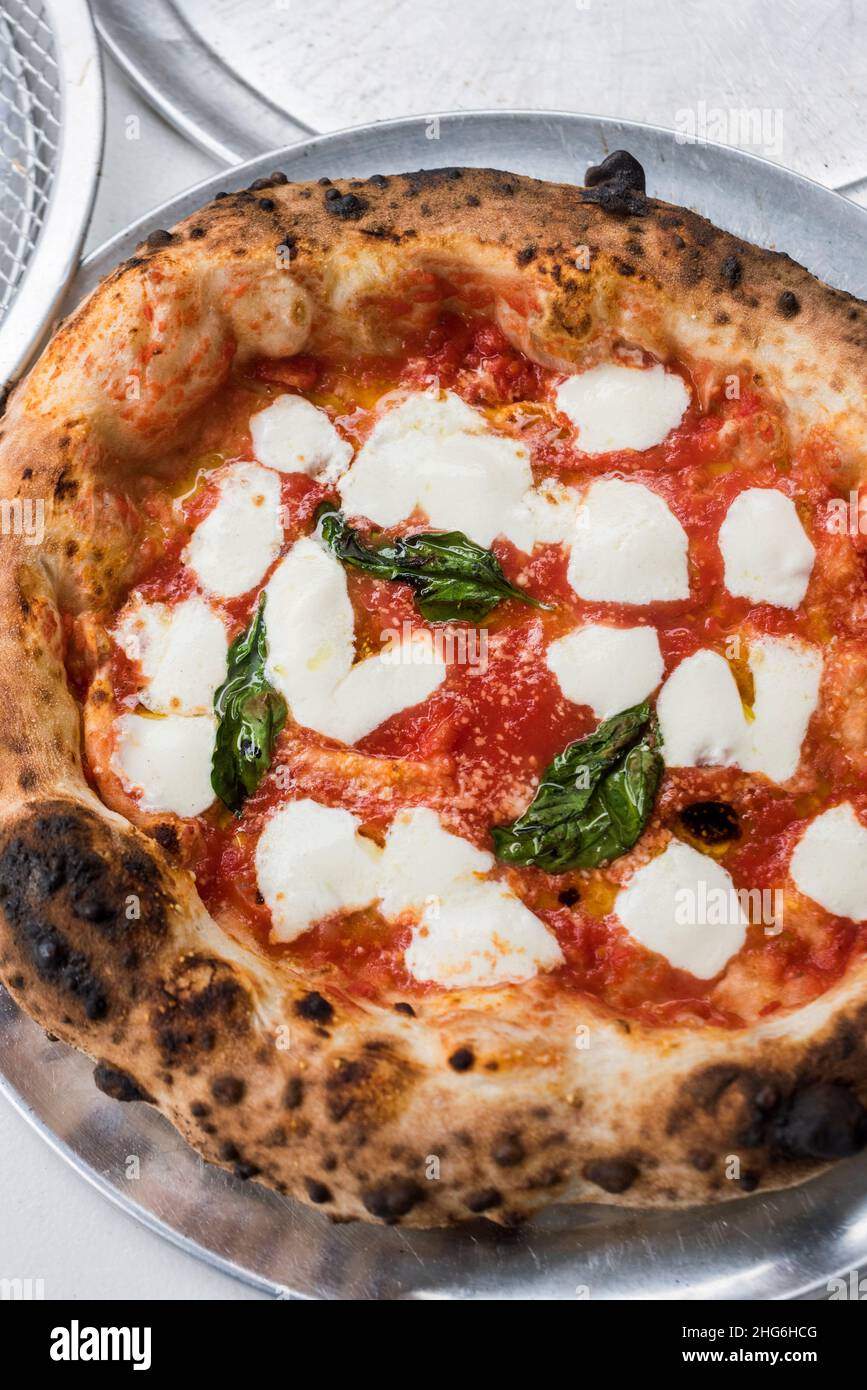 Margherita pizza with fresh mozzarella and basil on tray Stock Photo