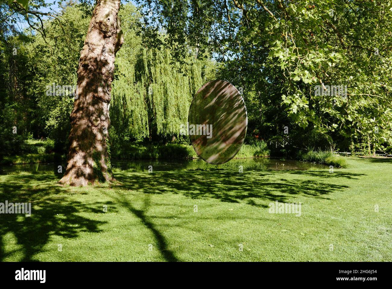 Leonardo da Vinci visual data 8