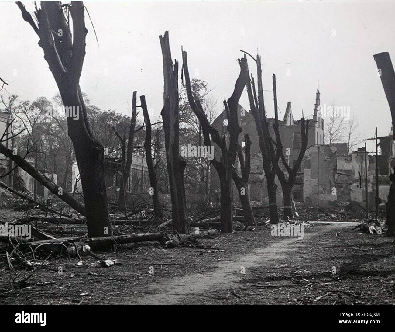 Seufzerallee, Düsseldorf. Der östliche Teil der Seufzerallee nach dem Bombenangriff am 23. September 1944, links die Ruinen des Malkastens. Stock Photo