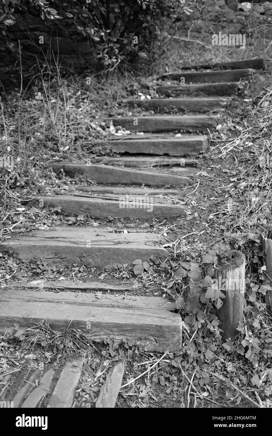 January 2022 - Line of old narrow steps leading into the woods behind Cox's Mill in Cheddar, Somerset, England, UK. Stock Photo
