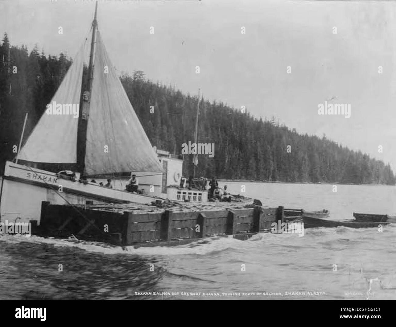 Shakan Salmon Company gas boat towing a scow loaded with salmon in Shakan Bay, Alaska, circa 1908 (AL+CA 3379). Stock Photo