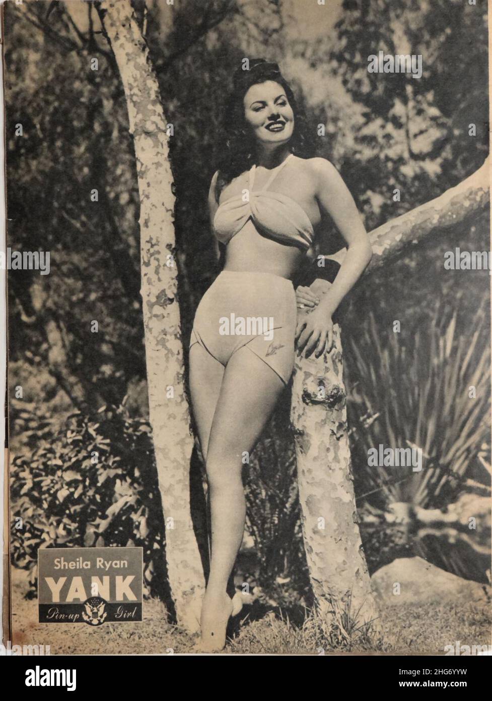 Sheila Ryan pin-up from Yank, The Army Weekly, July 1945. Stock Photo