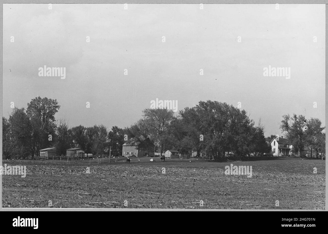 Shelby County, Iowa. General views of farmsteads. These pictures show