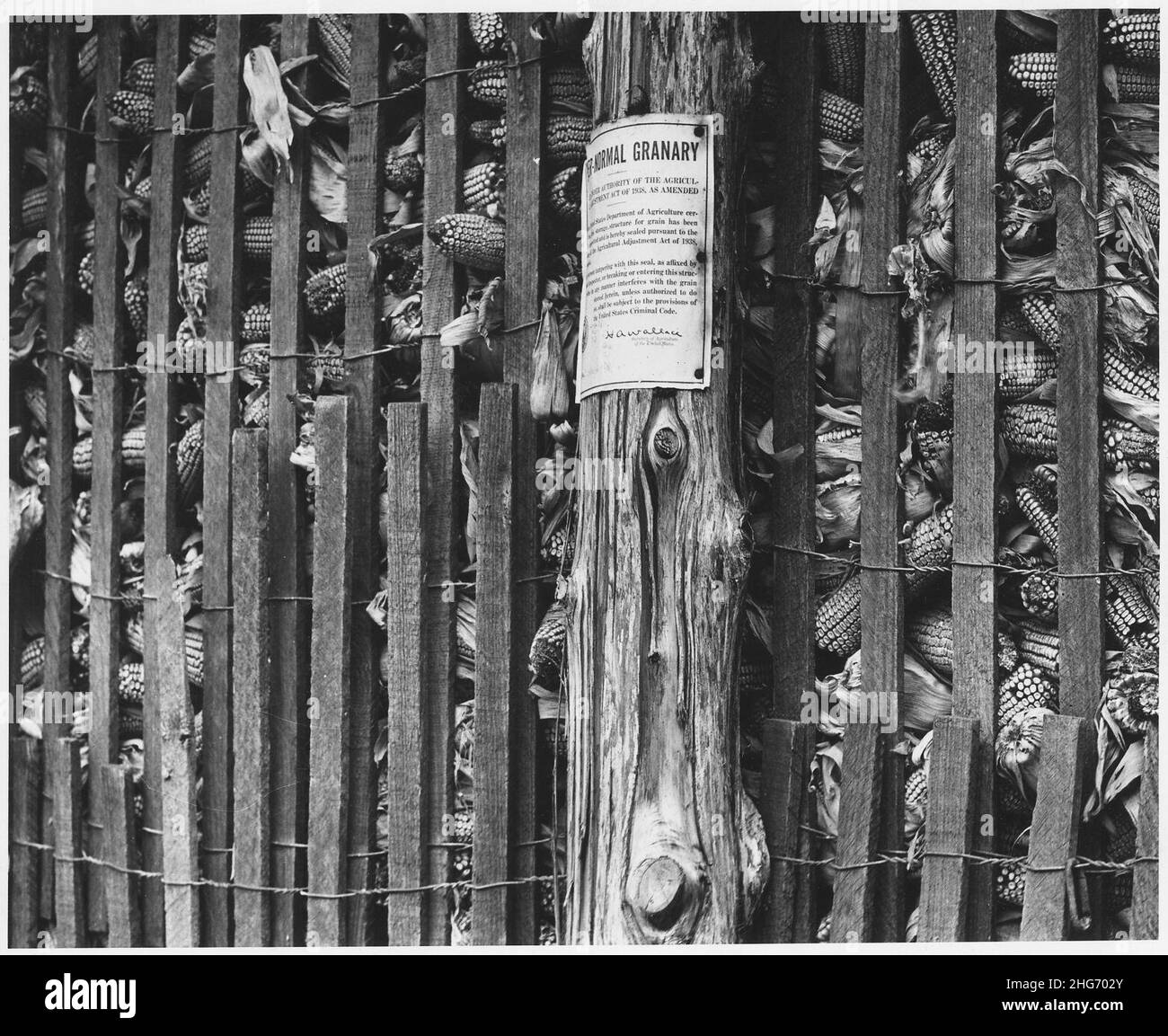 Shelby County, Iowa. Corn sealed in farm granaries under the Ever