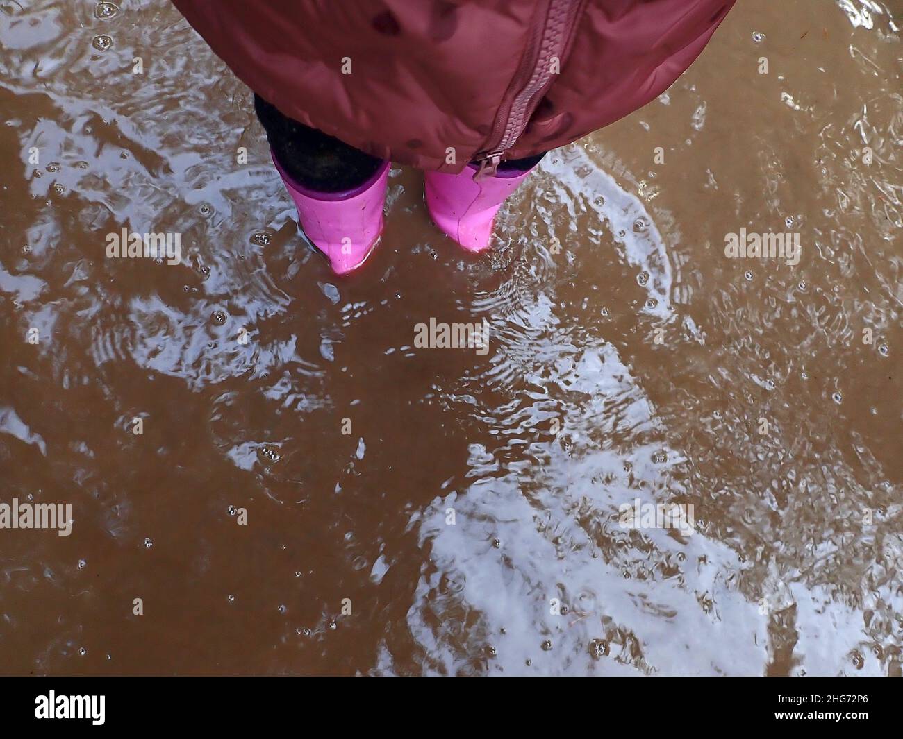 Spring puddle.puddle walk.pink rubber boots in spring water.steps in the water. rubber boots