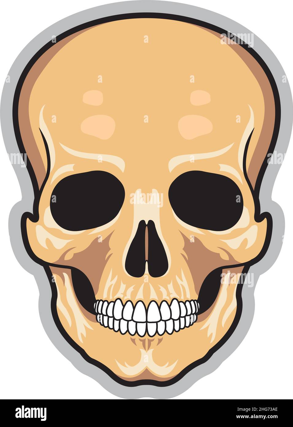 Teeth sockets Stock Vector Images Alamy