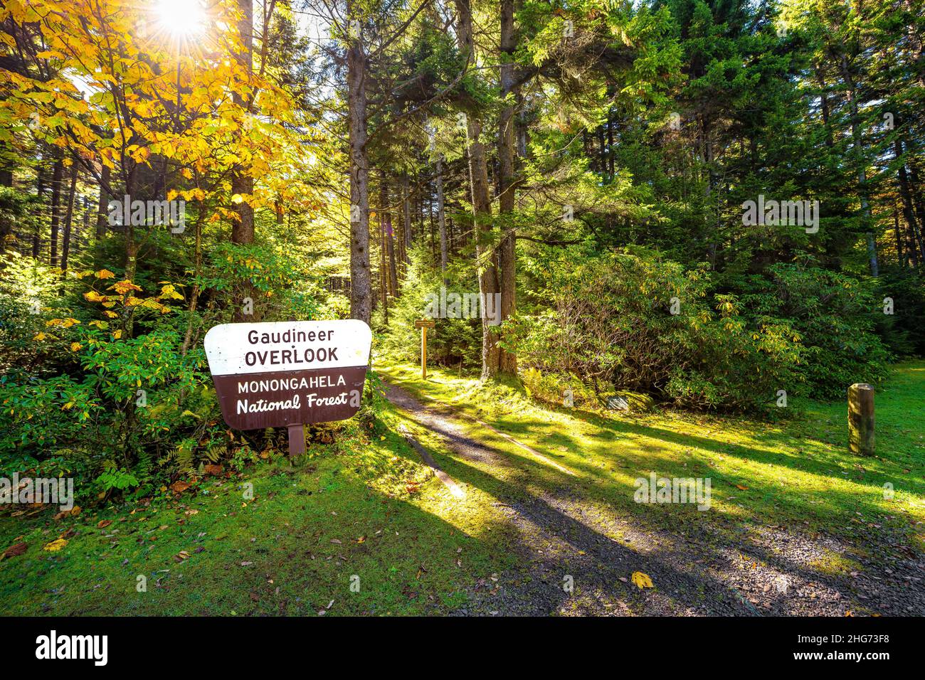 Gaudineer knob sign in Monongahela National Forest Appalachian mountains West Virginia hiking scenic trail entrance to moss forest in morning sunrise Stock Photo
