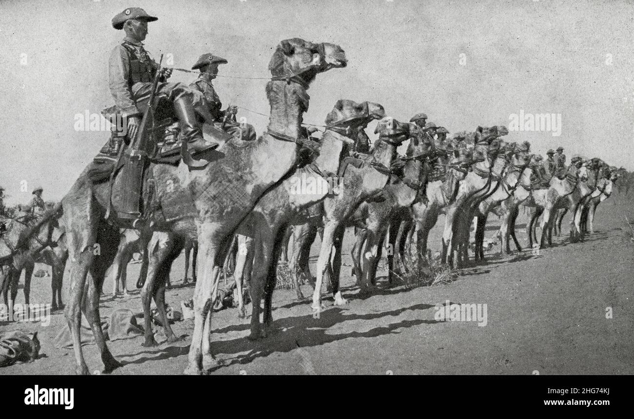 German Southwest Africa Camel Corps during World War I Stock Photo