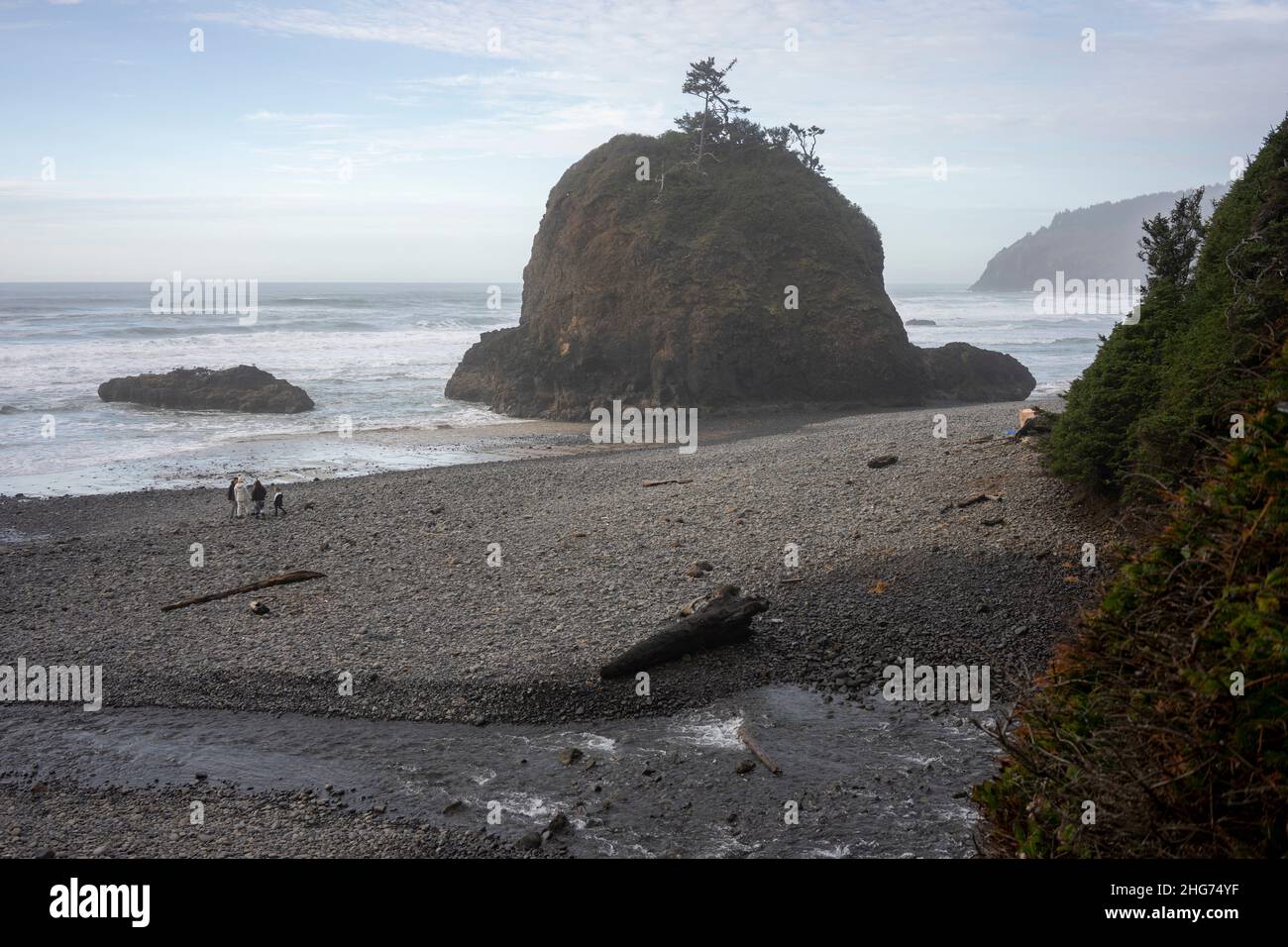 The Short Beach on the North Oregon Coast, with a sea stack, creeks, and waterfalls. Stock Photo