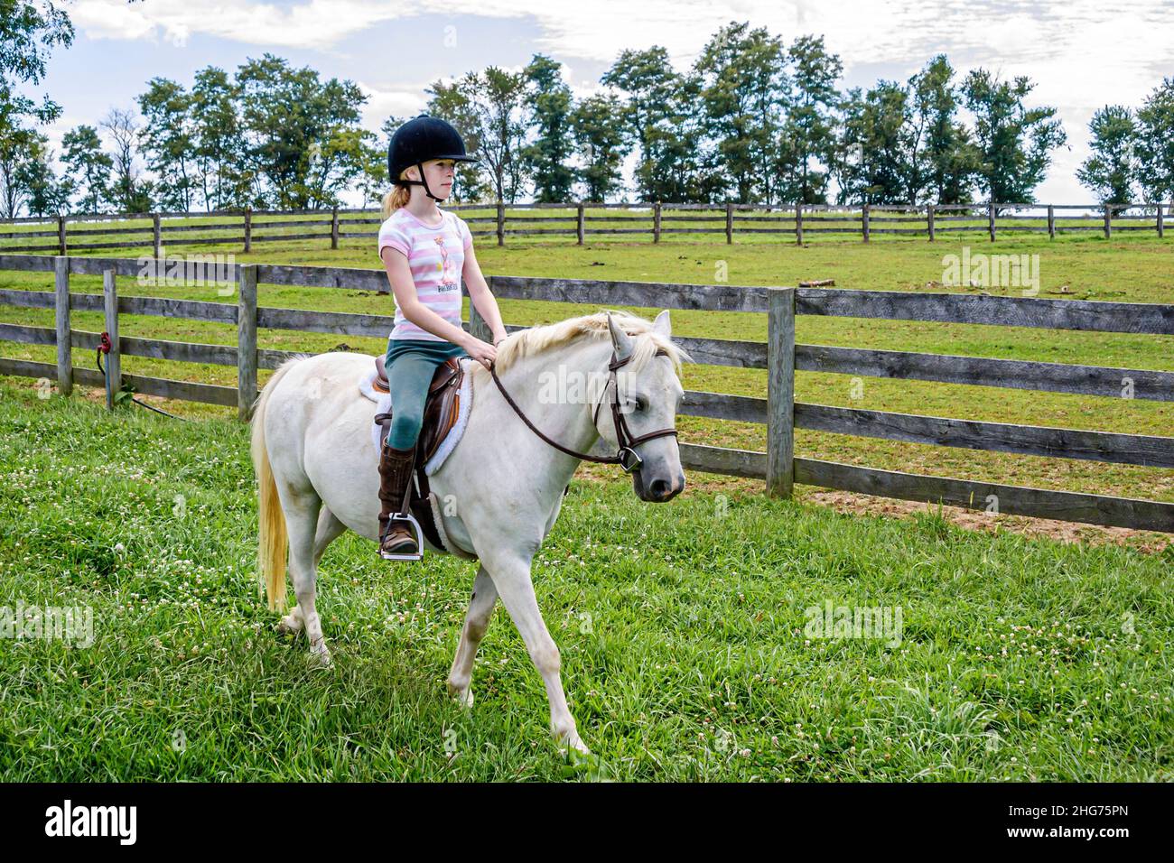 Virginia Loudoun County,Bluemont,Serene Acres,riding stables,horse,equine,animal,girl girls,youngster,female kids children adult,adults,woman female w Stock Photo