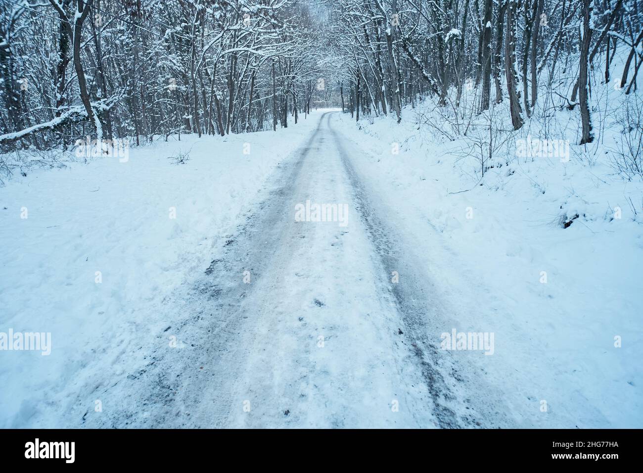 Snowy forest road in winter conditions Stock Photo