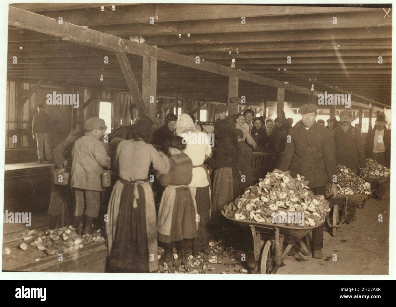 Shucking oysters in the Alabama Canning Company (Dunbar Lopez, Dukate Co.) Small boy on left end is Mike Murphy, ten years old, and from Baltimore. Stock Photo