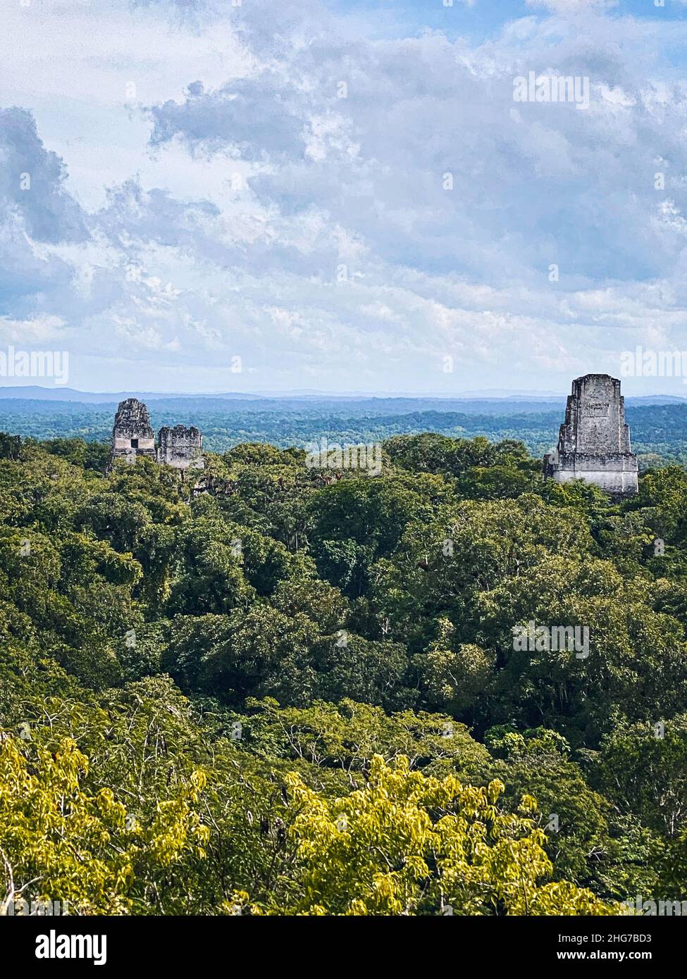 View from Temple IV; Tikal National Park, Guatemala Stock Photo
