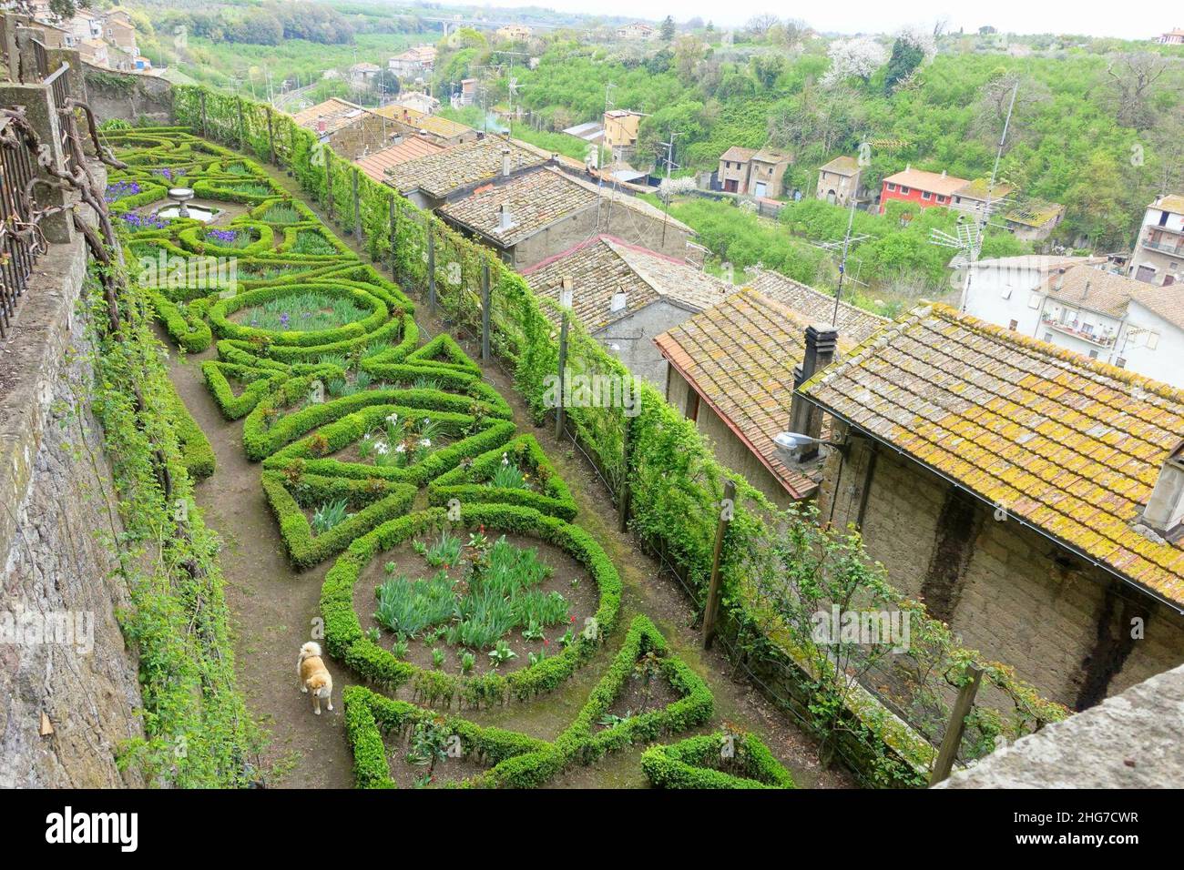 Side garden - Castello Ruspoli - Vignanello, Italy Stock Photo