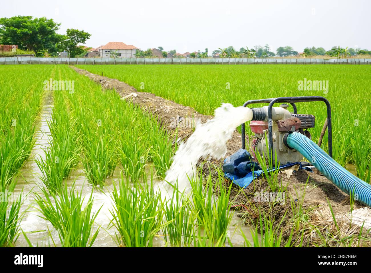 Electric irrigation pump hires stock photography and images Alamy