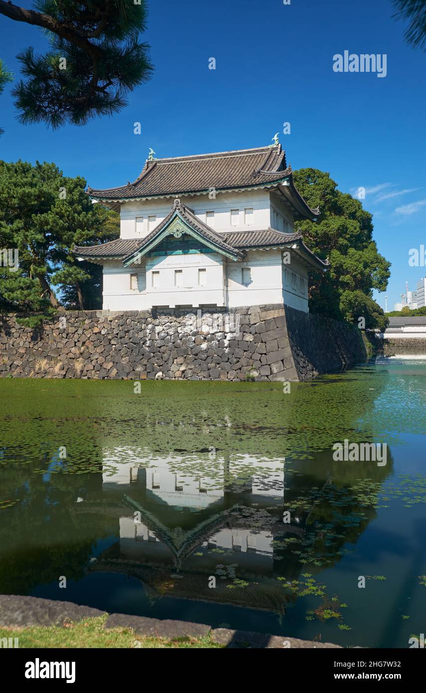 The Kikyo-bori moat overgrown with water plants around the Tokyo Imperial Palace outer wall with the Edojo Sakurada Tatsumi Yagura guard tower on the Stock Photo