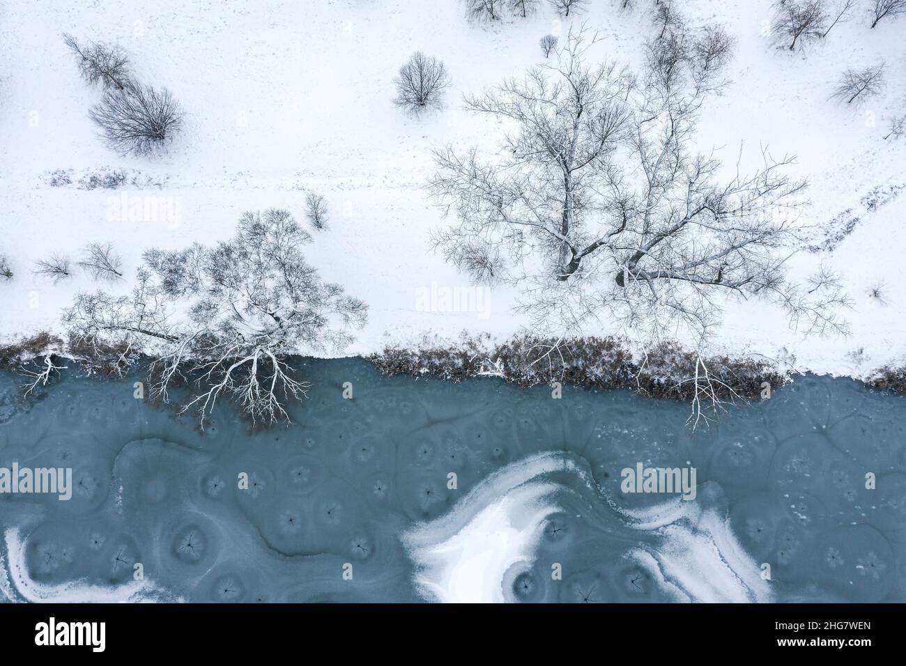 Aerial view snowy shore trees hi-res stock photography and images - Alamy