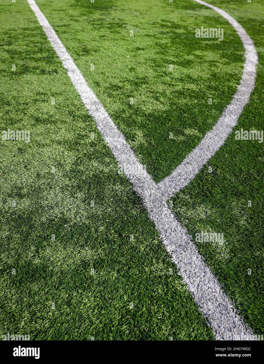 Shallow depth of field (selective focus) details with a synthetic