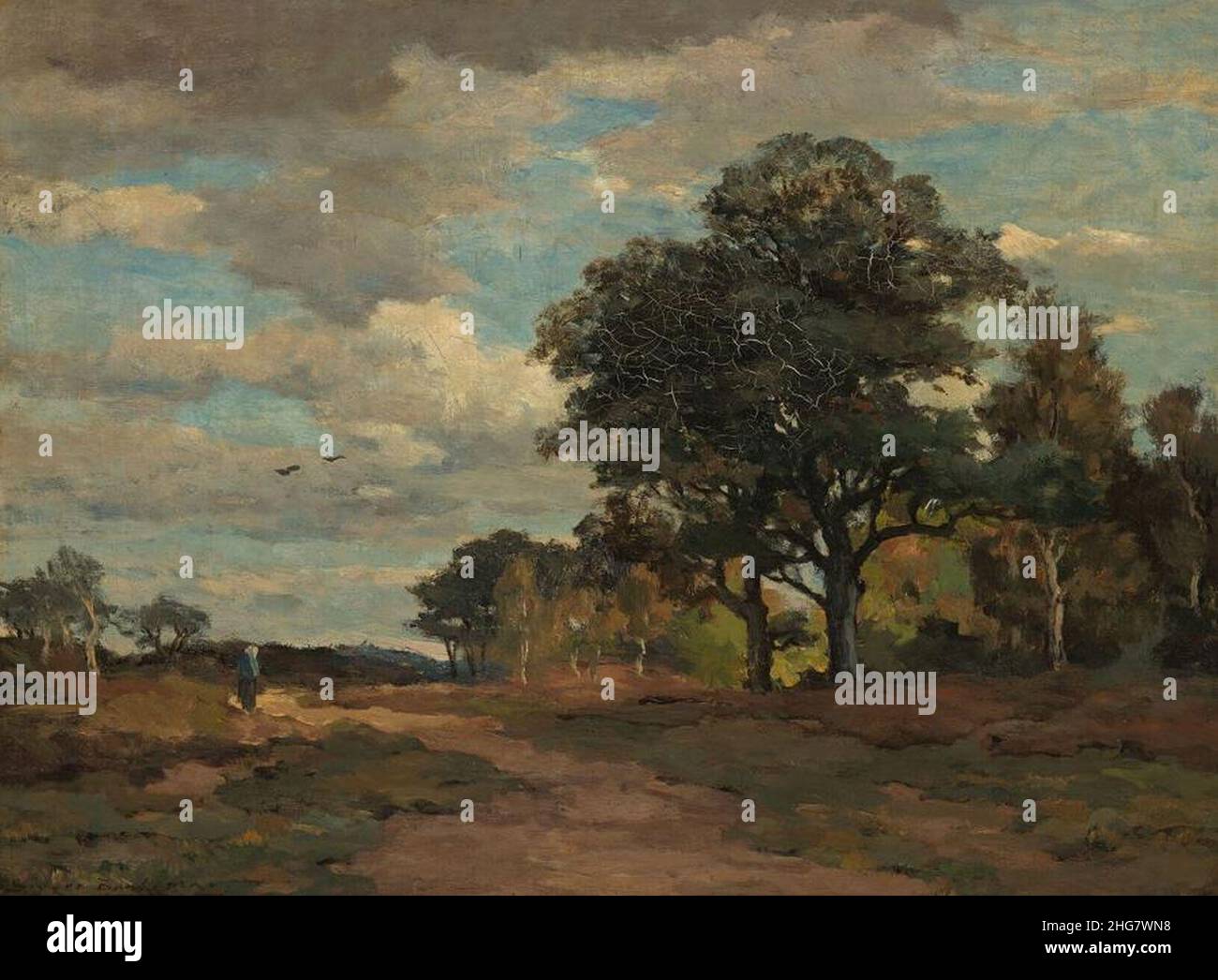 Sieger Baukema Wooded landscape with heather Stock Photo Alamy