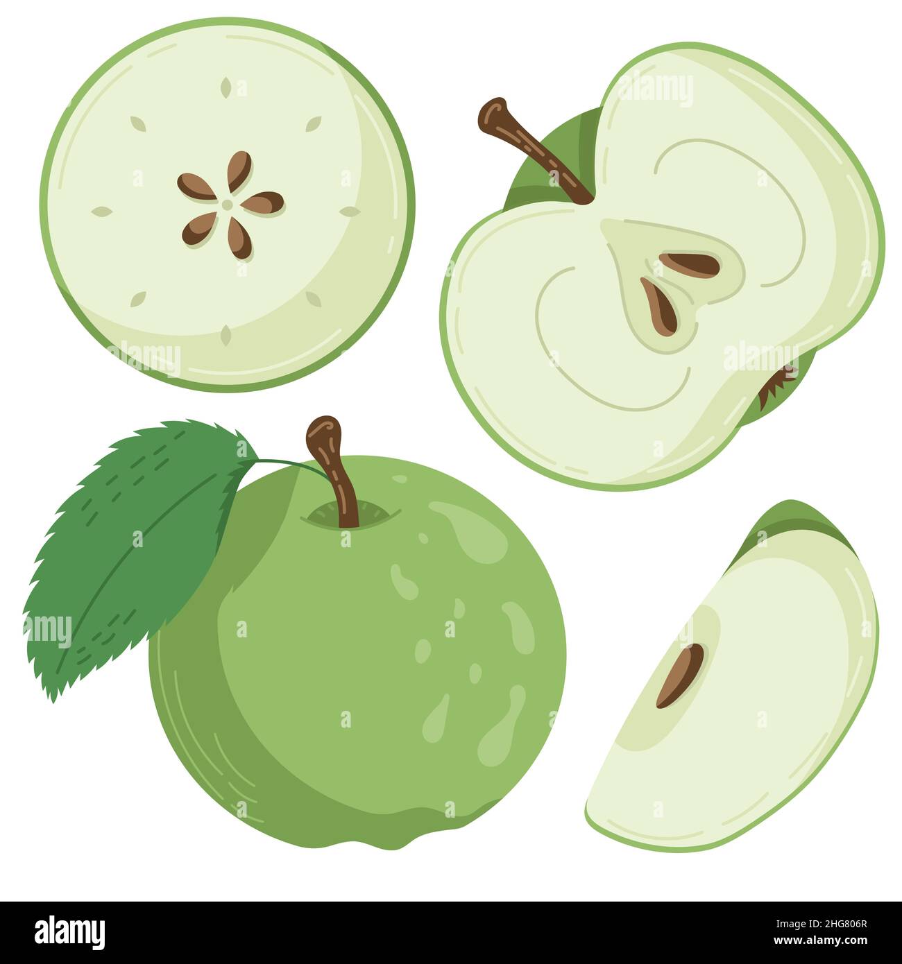 A set of apple fruit drawn in a flat style, slices and halves of fruit, leaves and bones. A set of stickers in pastel colours Stock Vector
