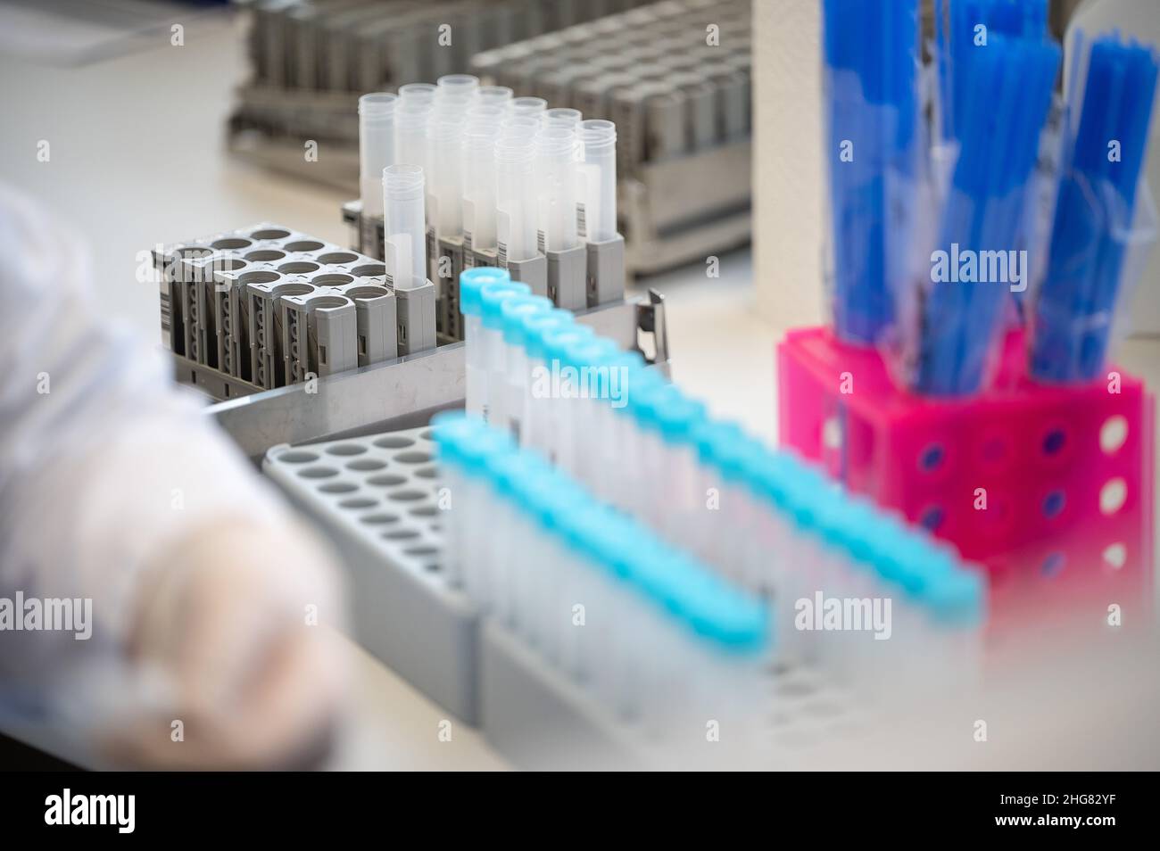 17 December 2021, Hessen, Gießen: An employee prepares the sample of a corona test for a PCR test in the Bioscientia MVZ Laboratory Mittelhessen. Photo: Sebastian Gollnow/dpa Stock Photo