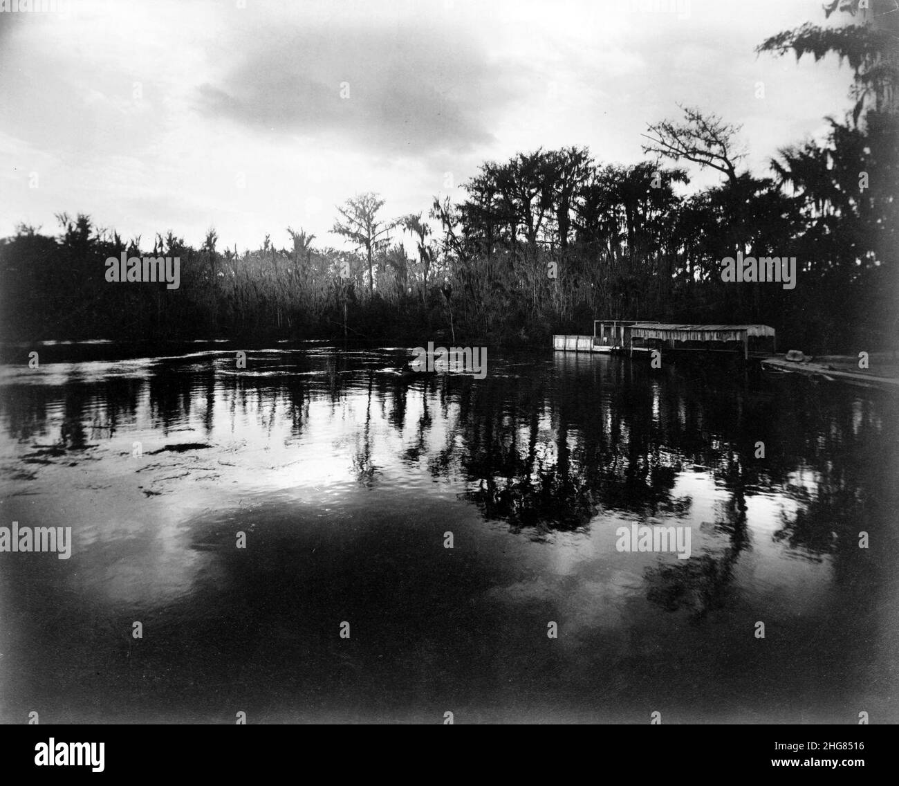 Silver Springs, Florida, in moonlight, 1887 cph.3c32843 Stock Photo Alamy