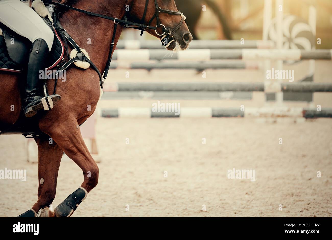 The horse an obstacle. Equestrian sport, jumping.
