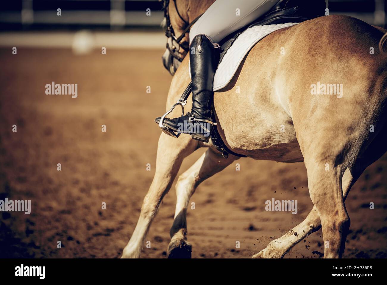 Equestrian sport. The leg of the rider in the stirrup, riding on a