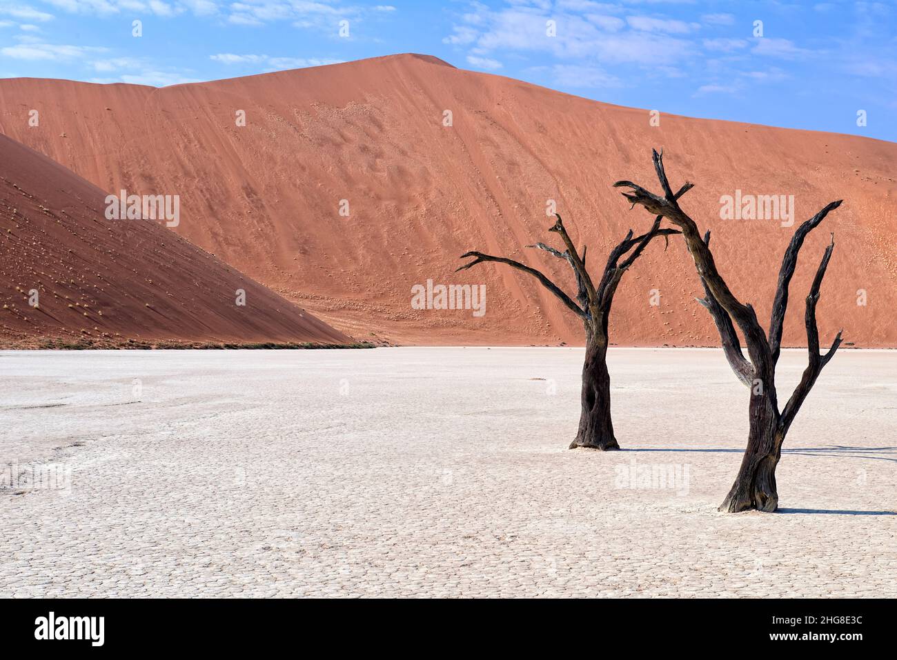Namibia.Namib Naukluft National Park. Deadvlei Stock Photo