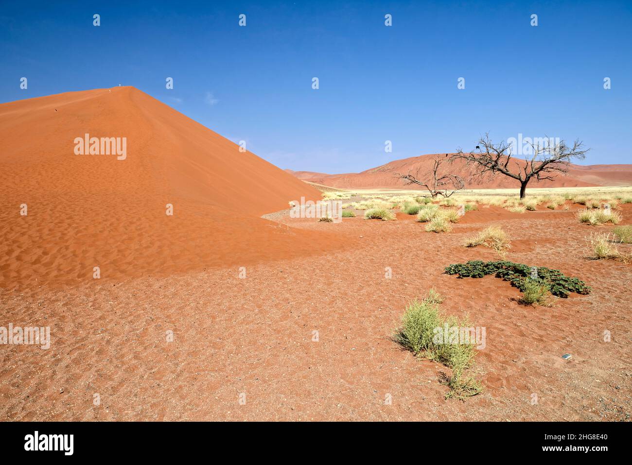 Namibia. Namib Naukluft National Park. Sossusvlei Dunes Stock Photo