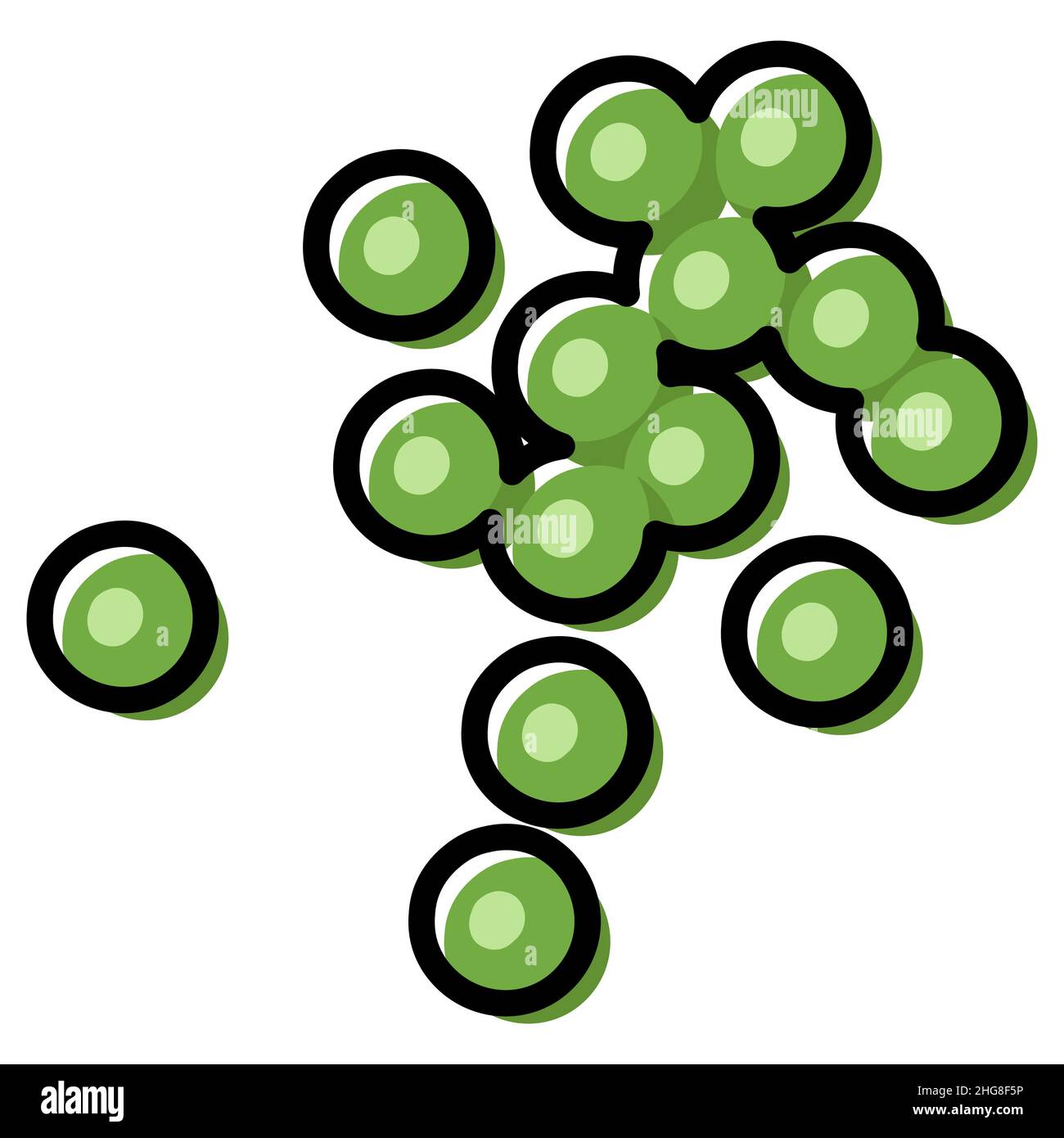 Green peas close up vector illustration. Outline color filled simple